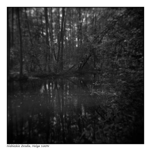 Holga 120N