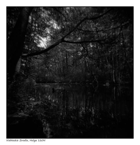 Holga 120N