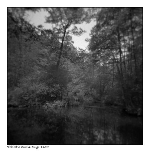 Holga 120N