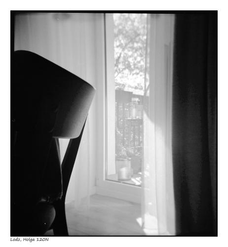 Holga 120N