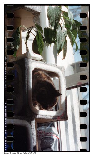 Bronica SQ-A, Reflx LAB 400
