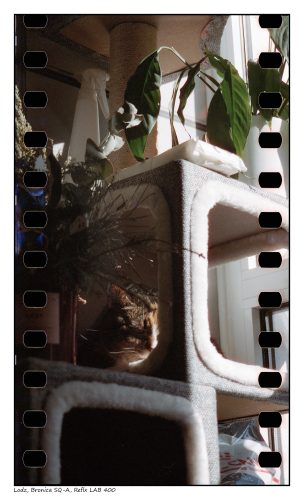 Bronica SQ-A, Reflx LAB 400