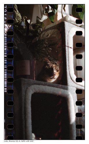 Bronica SQ-A, Reflx LAB 400