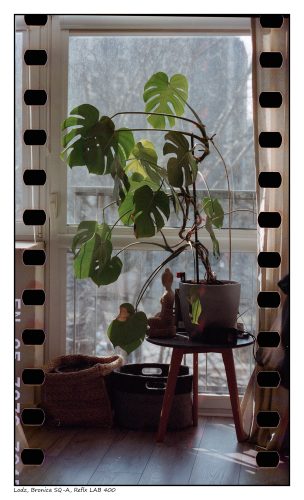 Bronica SQ-A, Reflx LAB 400