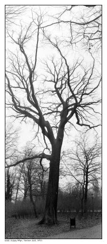 Łódź, Księży Młyn, Horizon 202, HP5+