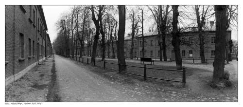 Łódź, Księży Młyn, Horizon 202, HP5+