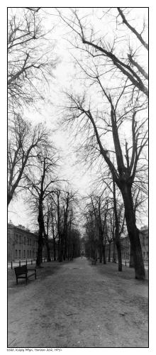 Łódź, Księży Młyn, Horizon 202, HP5+