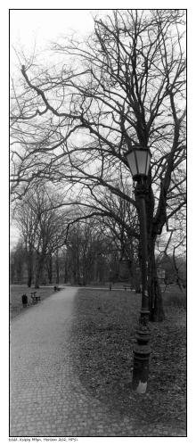 Łódź, Księży Młyn, Horizon 202, HP5+