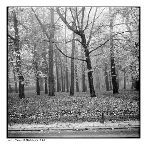 Lodz
