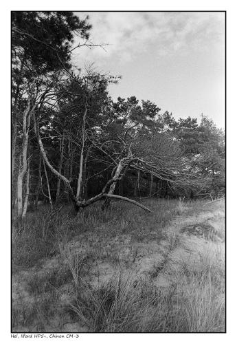 Ilford HP5, Chinon CM-3
